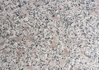 GranitE G383 مادة Bianco أنتيكو الغرانيت بلاطة رمادي اللون زهرة اللؤلؤ