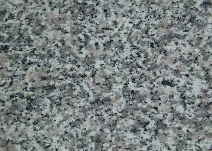 جي 623 روزا بيتا الصين بيانكو ساردو رمادي أبيض رمادي فاتح أبيض ألواح حجر الغرانيت